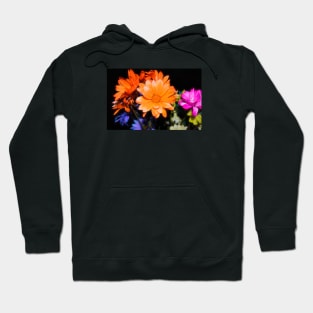 Flowers 66 by Kristalin Davis Hoodie